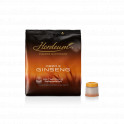 CAPSULE ORZO E GINSENG IPER ESPRESSO ILLY